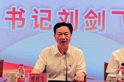 1刘书记讲话特写