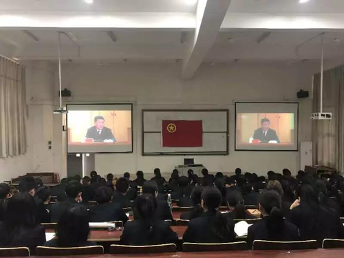 图片6