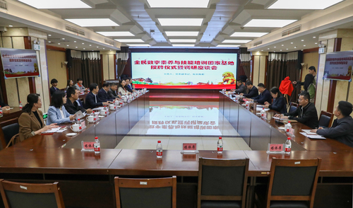 会议全景 (2)