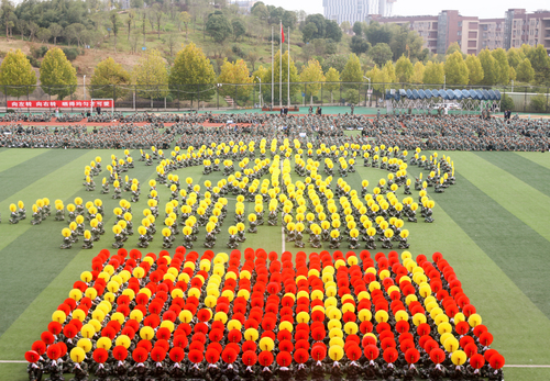 方阵29